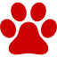 DRD - Favicon - DRD - Dogs are Dogs Daycare Red paw print icon indicating pet-related content