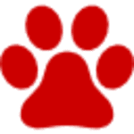Solid red square (color swatch)