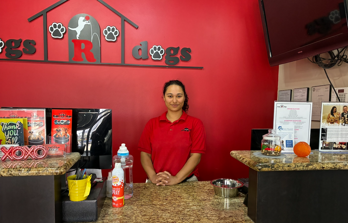 Receptionist in a red polo behind a granite counter at a dog care shop, red wall with paw-print logo on display.